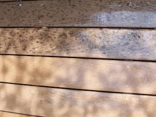 Deck Cleaning