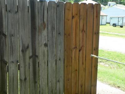 Fence Cleaning