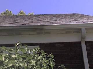 Gutter Cleaning